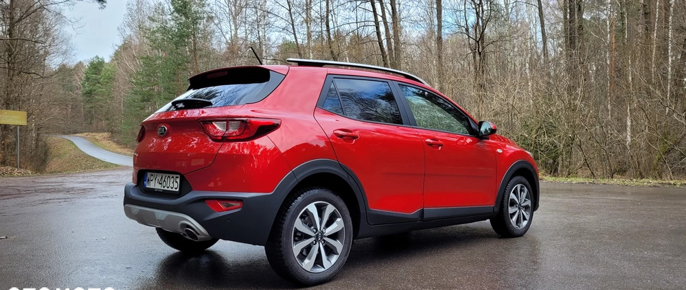 Kia Stonic cena 77900 przebieg: 5460, rok produkcji 2020 z Lipno małe 781